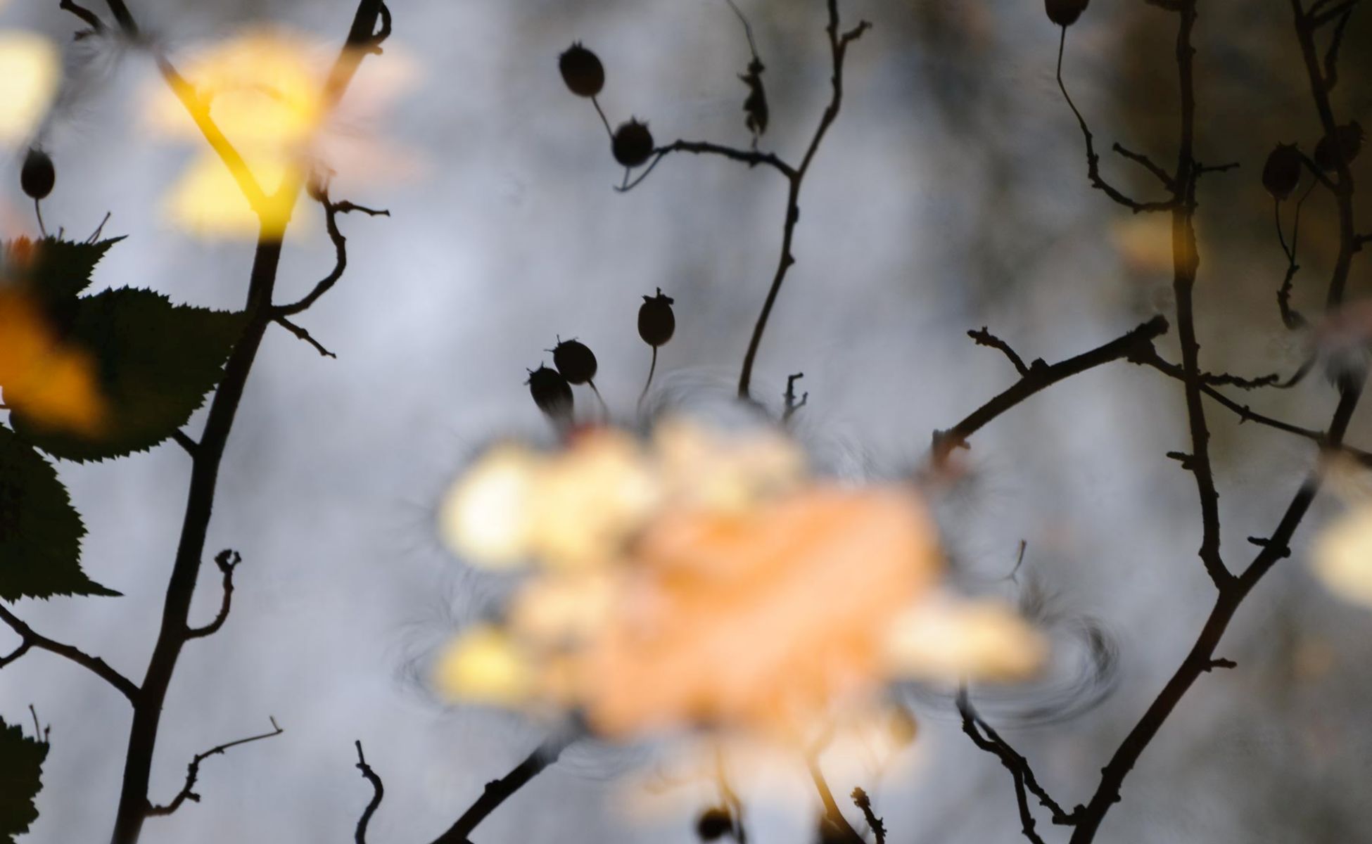 fotografie en zelfreflectie