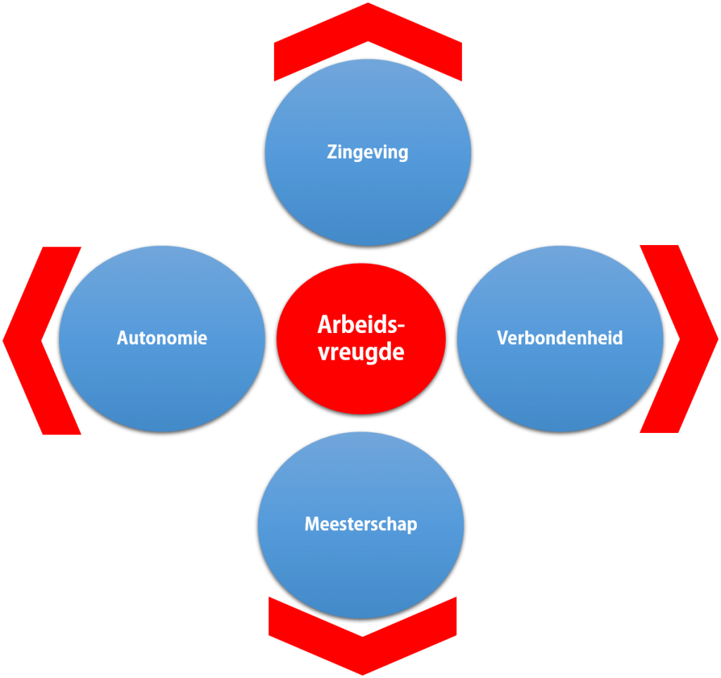 Anatomie van de arbeidsvreugde