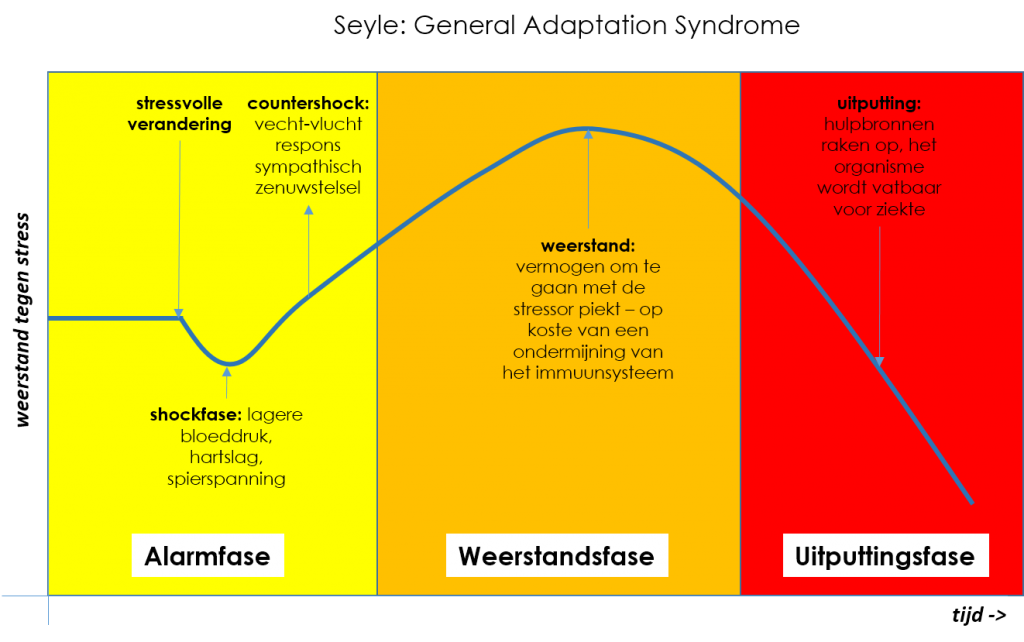 Hans Seyle - General Adaptation Syndrome