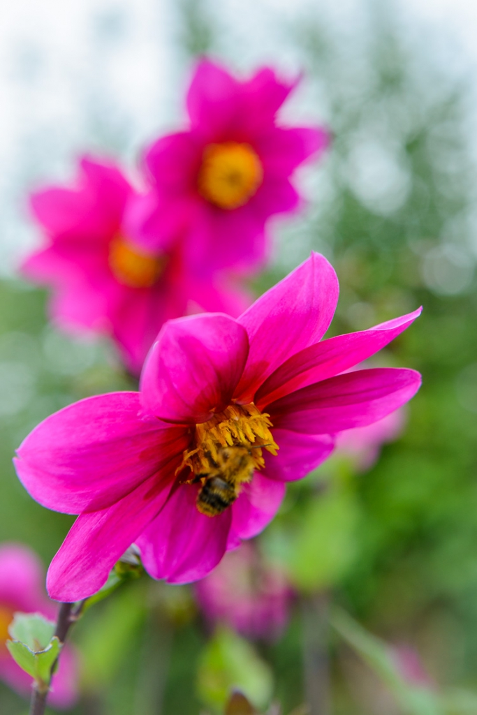 Avondcursus Zijnsoriëntatie: zelf-liefde, zelf-acceptatie, zelf-vertrouwen