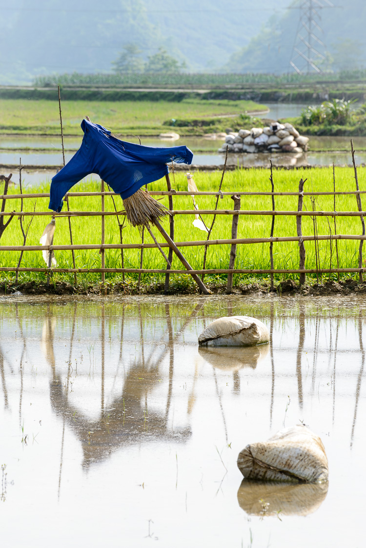 tegemoetkoming in de kosten vanuit verzekeraars