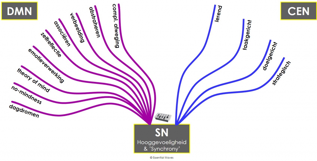 Synchroniciteit van DMN en CEN