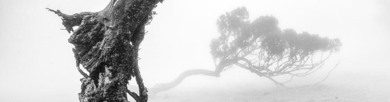 innigheid - ondanks de crisis blijft de innigheid, als een boog in de mist