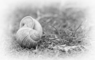 tweezaamheid - samen alleen en alleen met jezelf