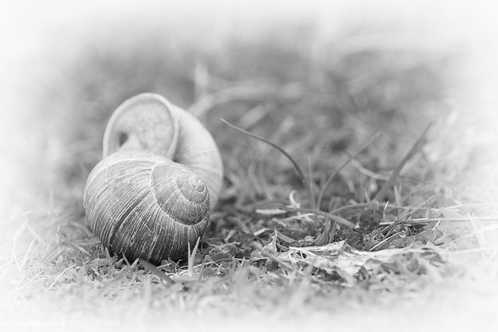 tweezaamheid - samen alleen en alleen met jezelf