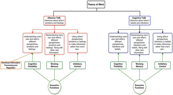 Verband slaap, slaapgebrek en impact op Theory of Mind